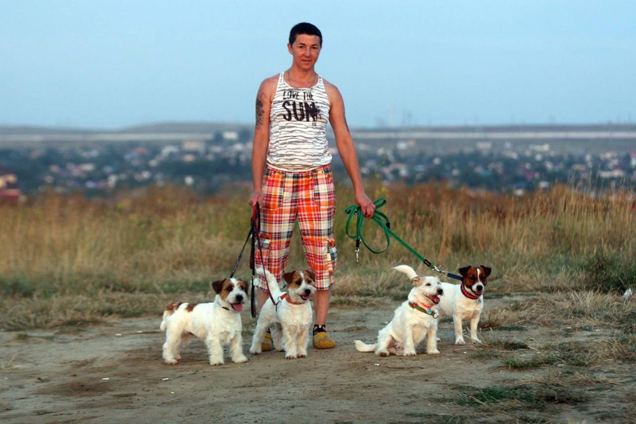 Lovely-Orange питомник джек рассел терьеров