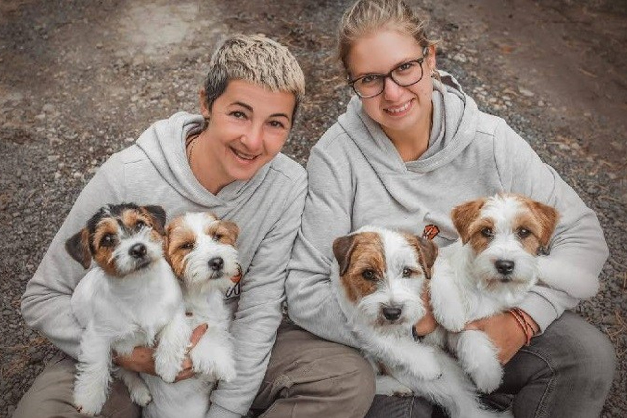 Lovely-Orange питомник джек рассел терьеров