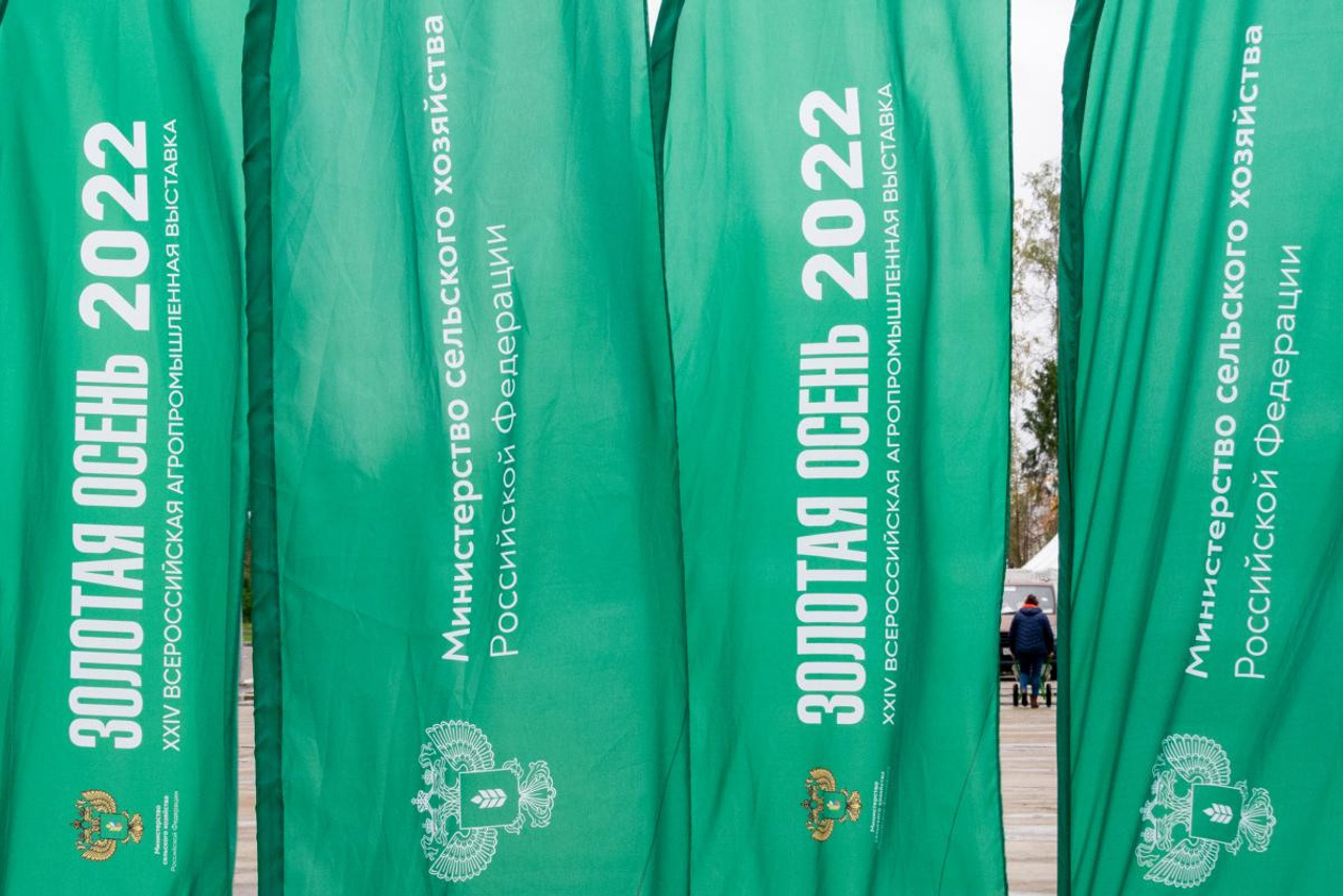 «Золотая осень» — 2022