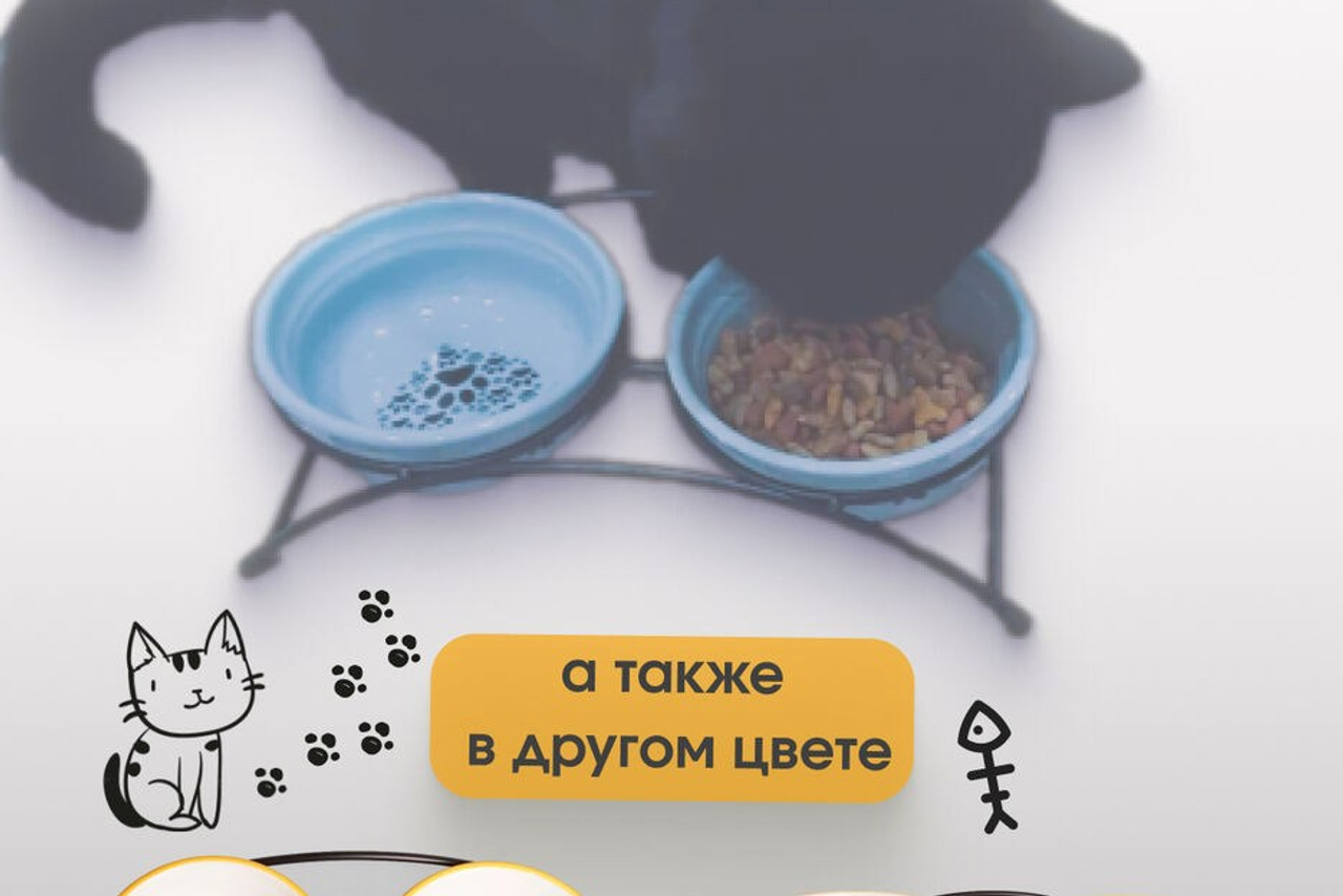 Инфографика. Moscow-photo-art.ru