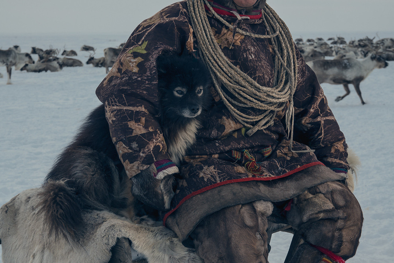 Gazprom Neft. Photographer Sergei Tatarskikh