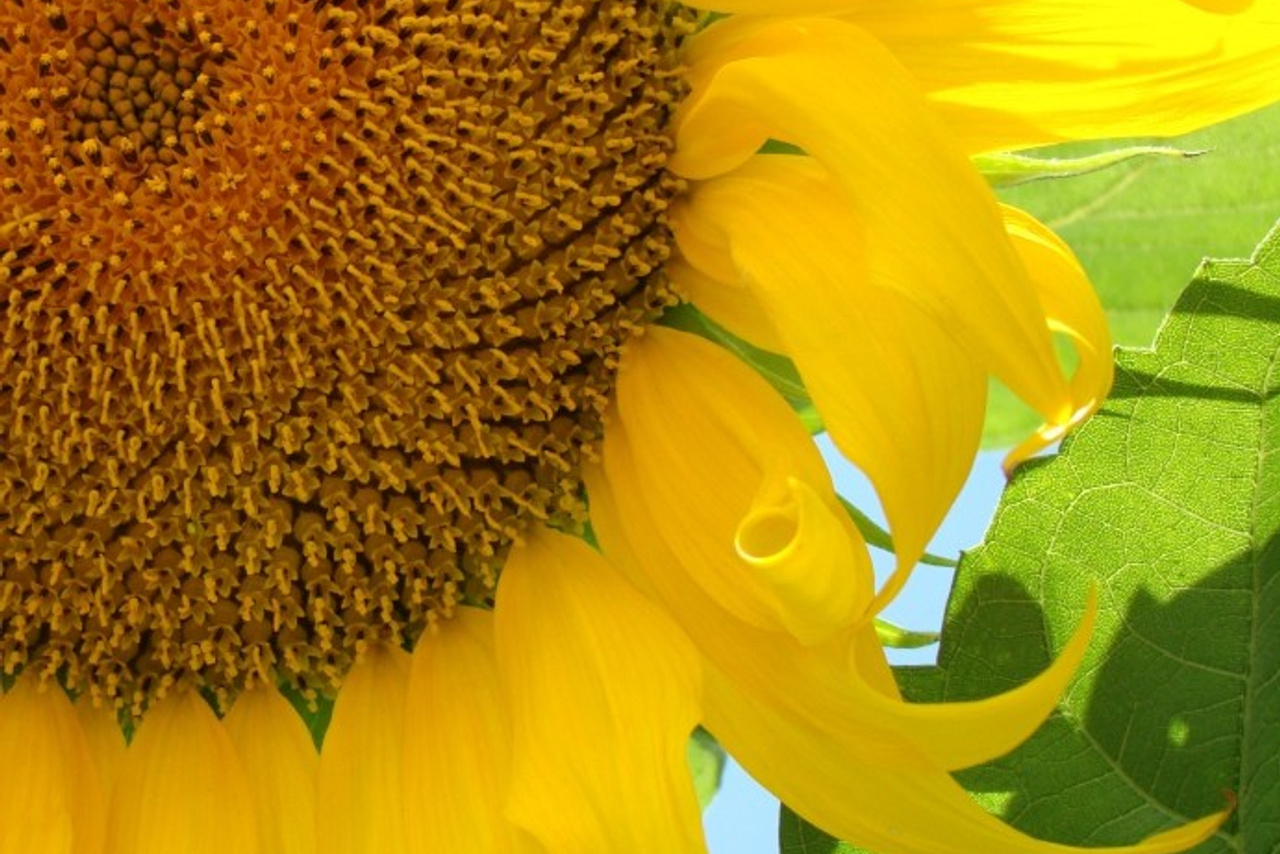 ЖК «На Некрасова», Екатеринбург, 2025. Елена Берсенева, фотограф