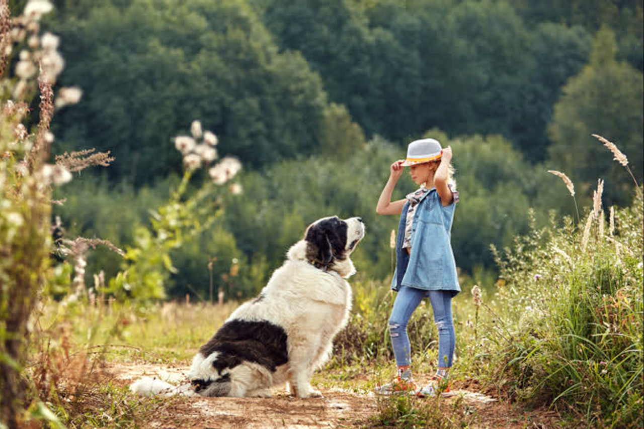 Видео о детской съемке по мотивам статьи из фотожурнала