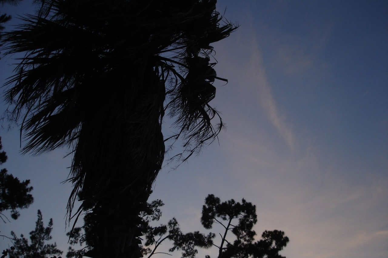nature