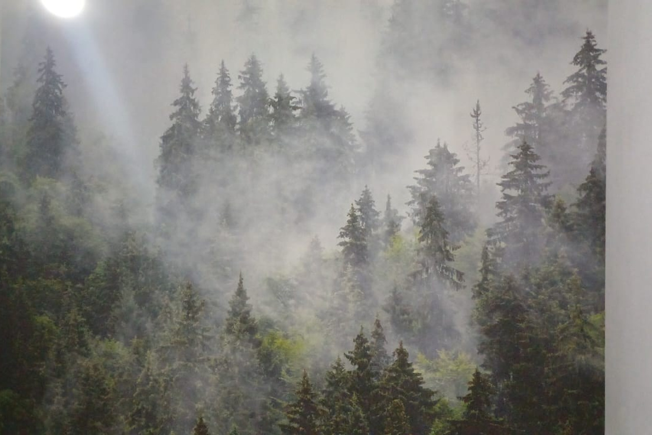 Объект МД-010 КП МАРУШКИНО ОТДЕЛКА