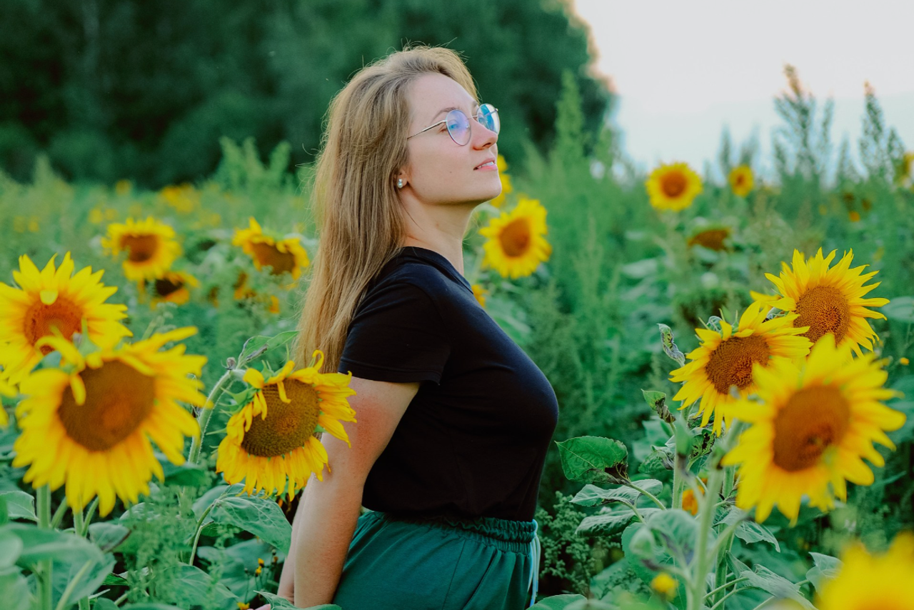 Аполлинария. Подсолнухи