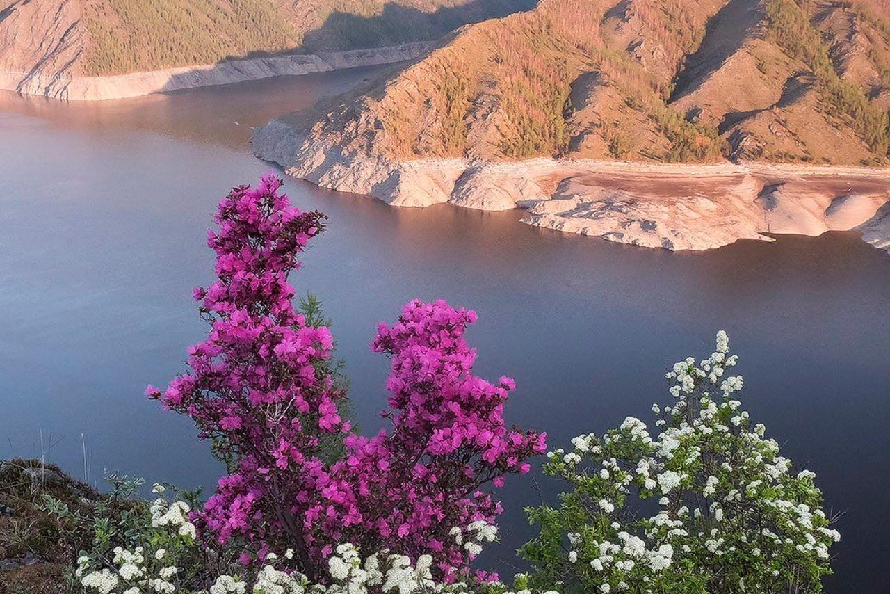 Саяно-Шушенский заповедник