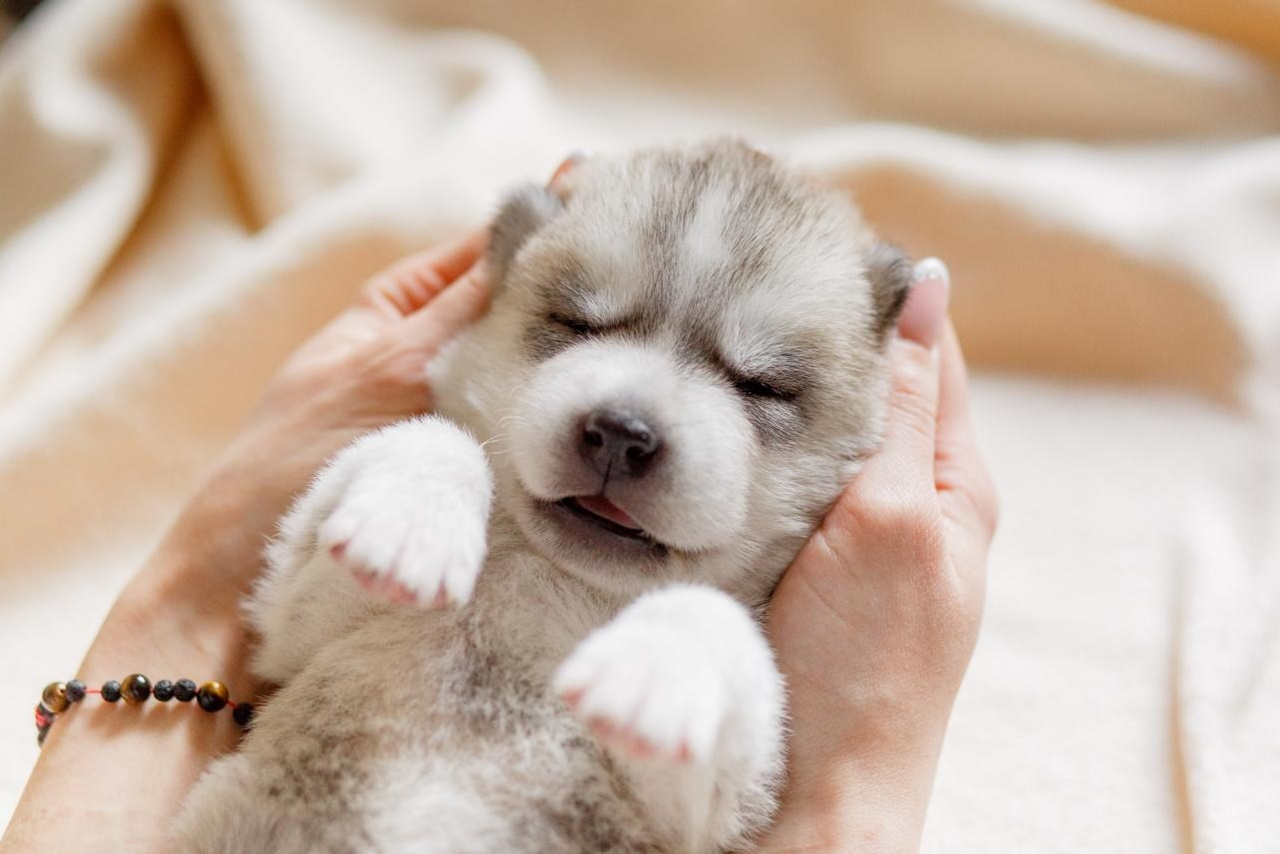Блог. Семейный фотограф в Екатеринбурге