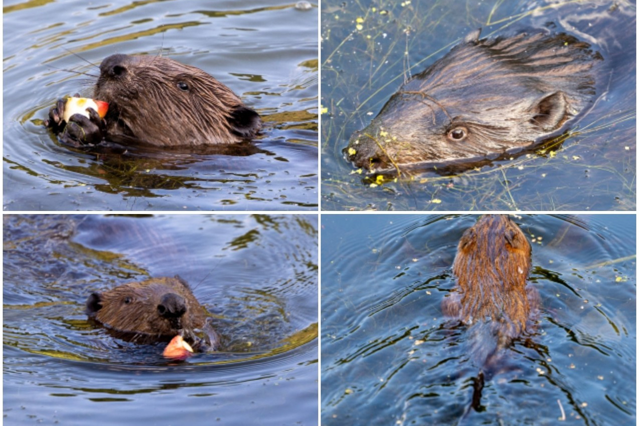 Блог. Кучеров Евгений. Фотограф