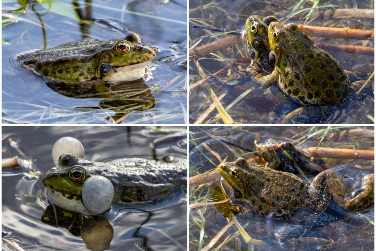 Блог. Кучеров Евгений. Фотограф