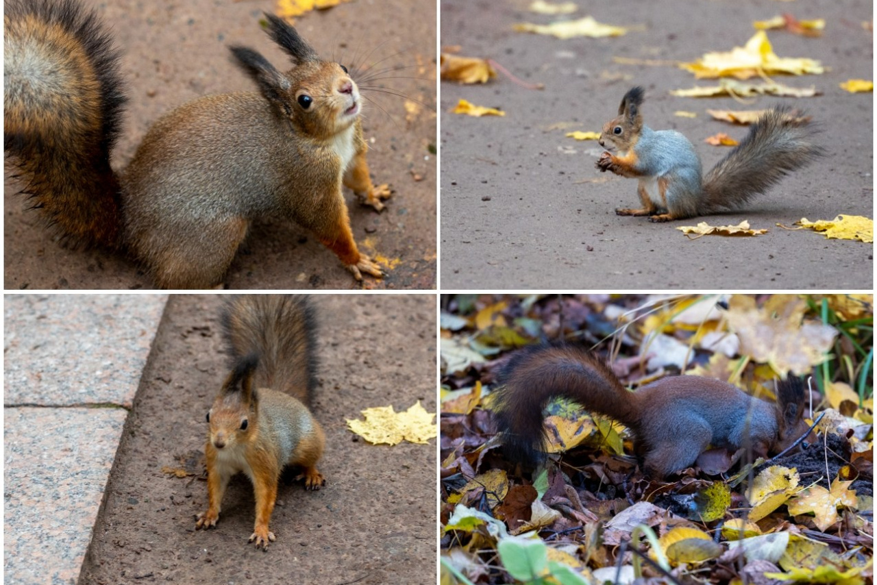 Блог. Кучеров Евгений. Фотограф