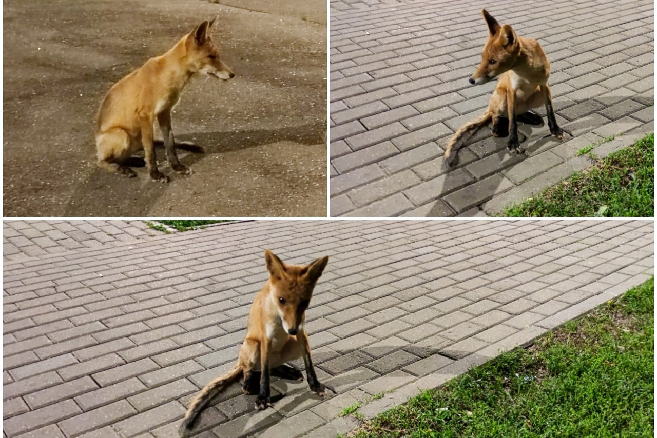 Блог. Кучеров Евгений. Фотограф