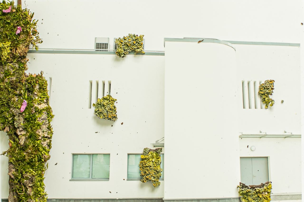 Коллаборация