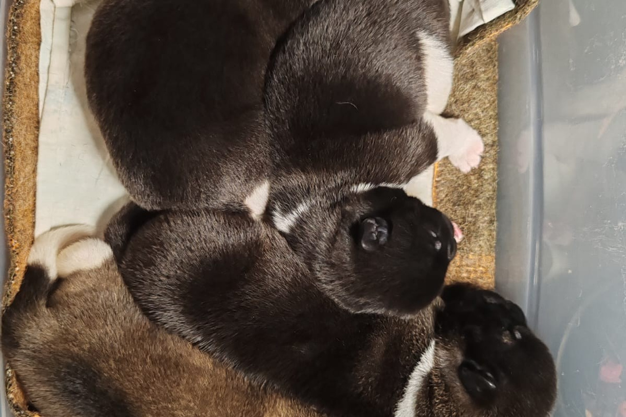 Помет К 21.12.24