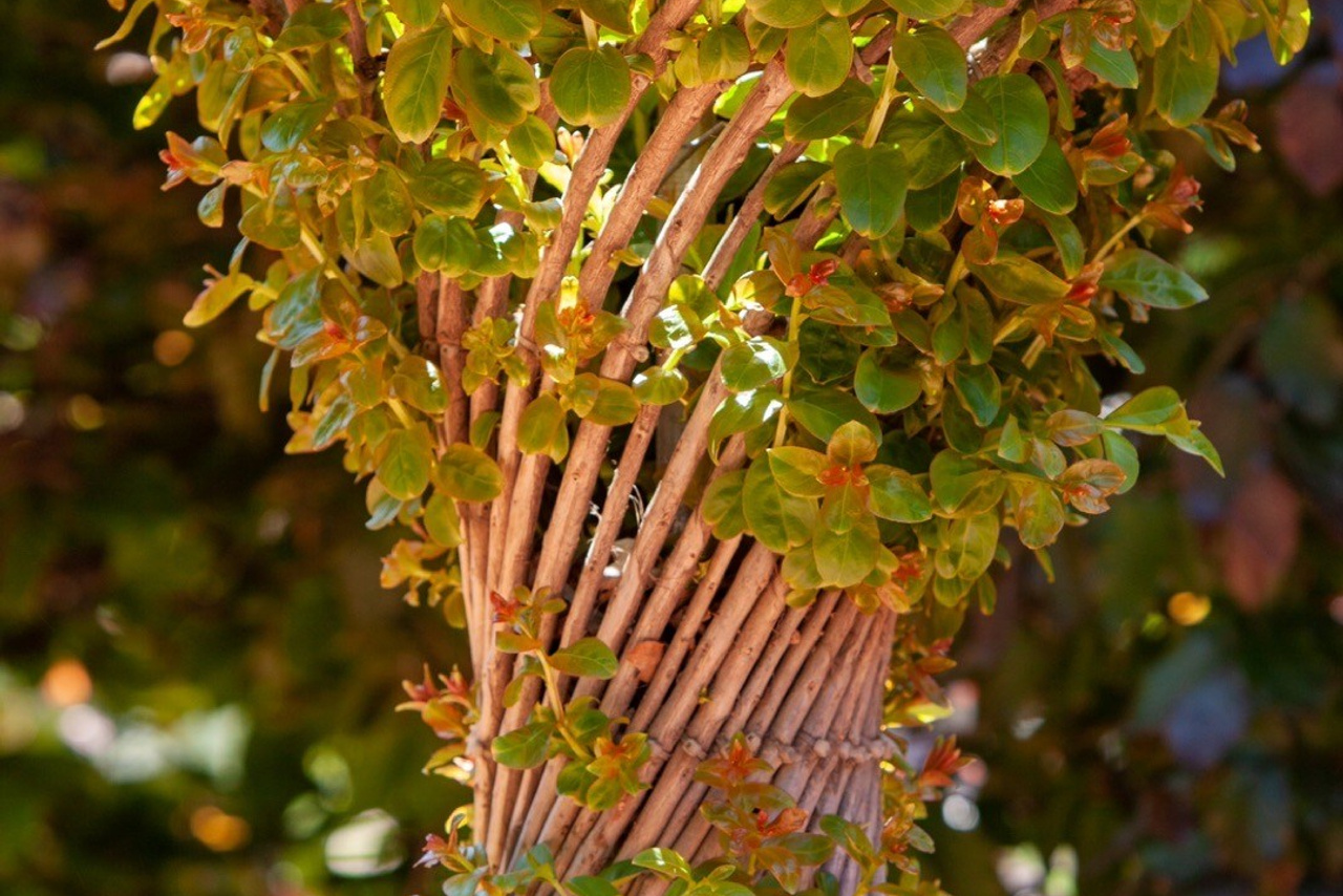 Пейзажное Фото. Https://lisenkofotograf.ru