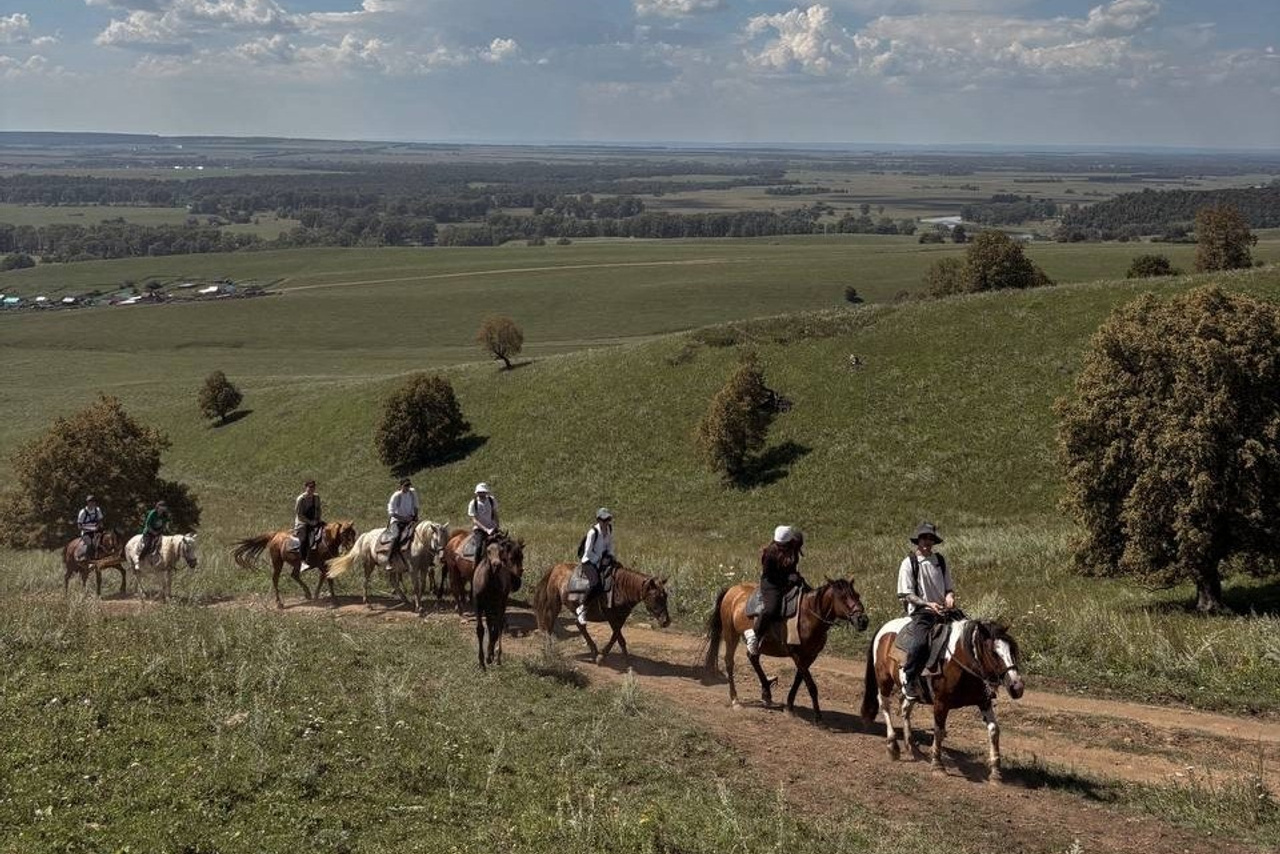 Конные туры