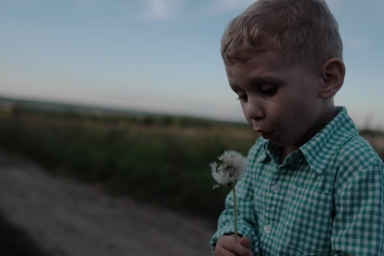 БОЛЬШАЯ СЕМЬЯ