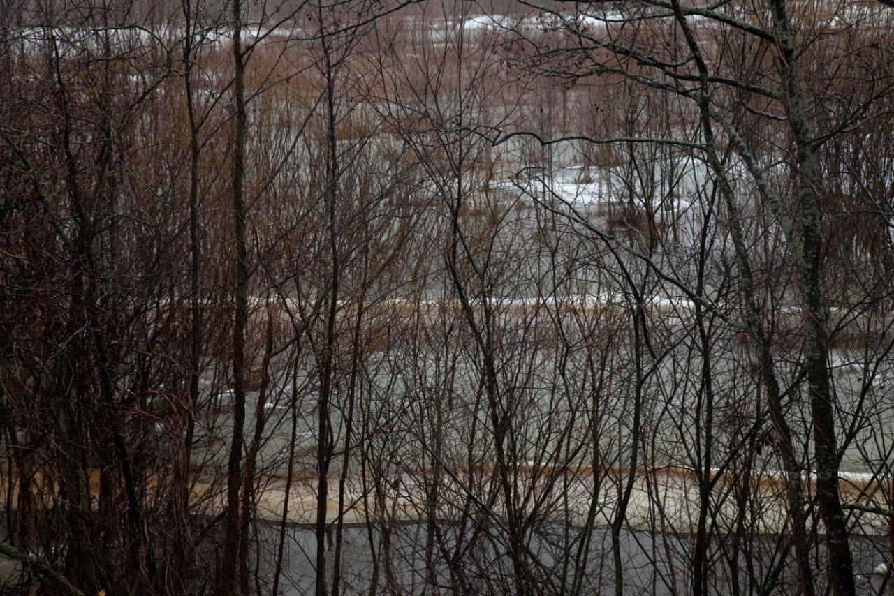 Видео. Mogilevtseva Daria is a photographer and an interdisciplinary artist