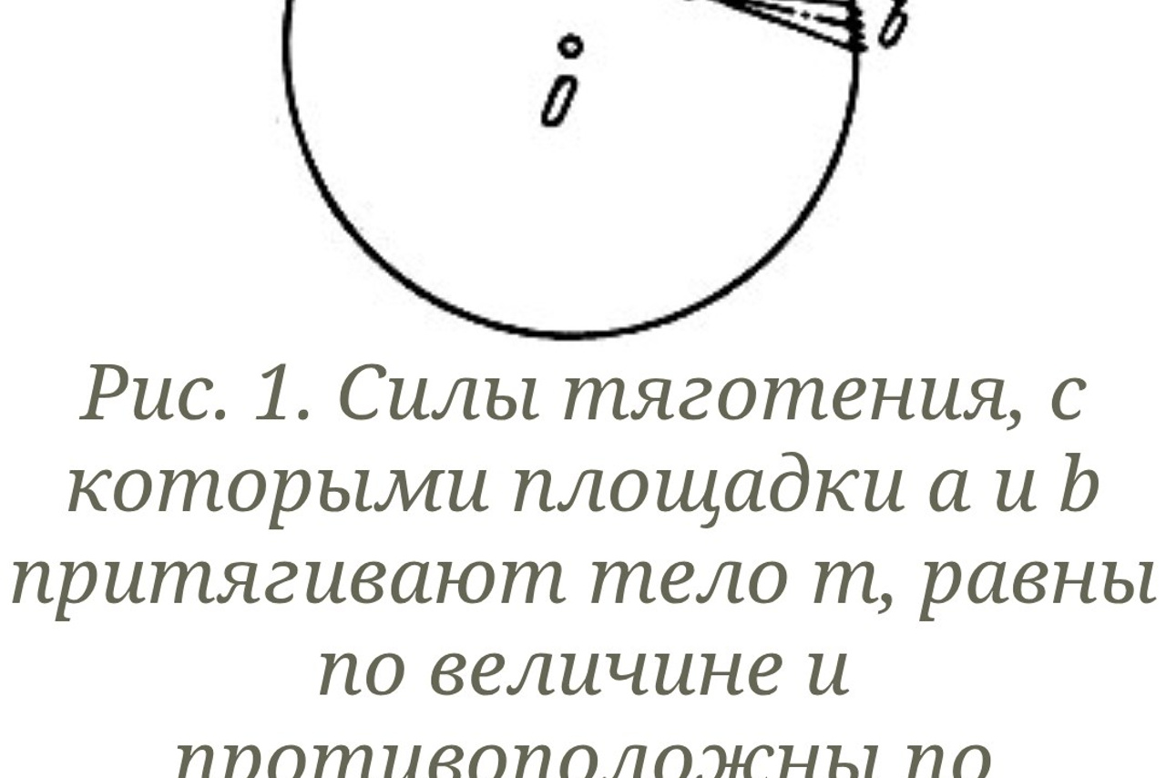 Узел пуповины. Могилевцева Дарья междисциплинарный художник