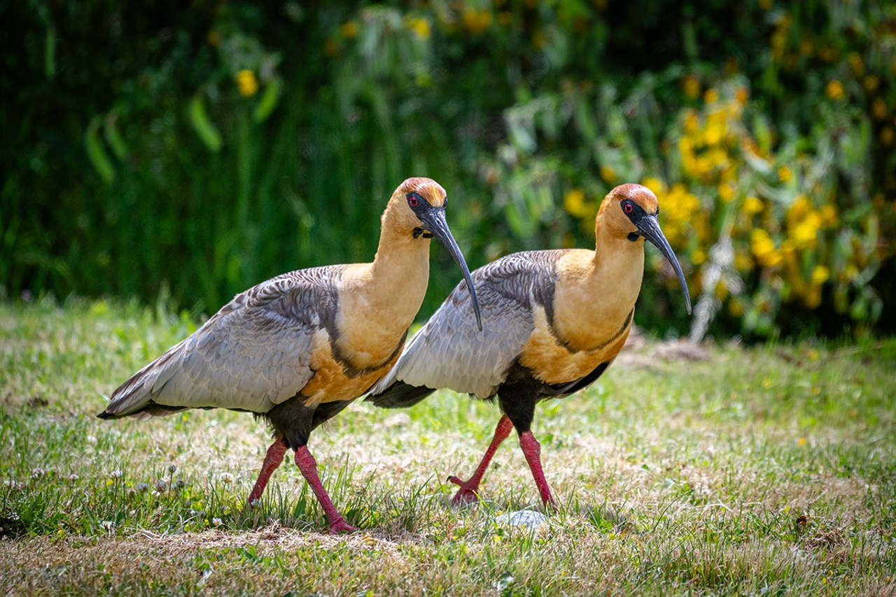 «Изнанка». Авторские стильные фотокартины