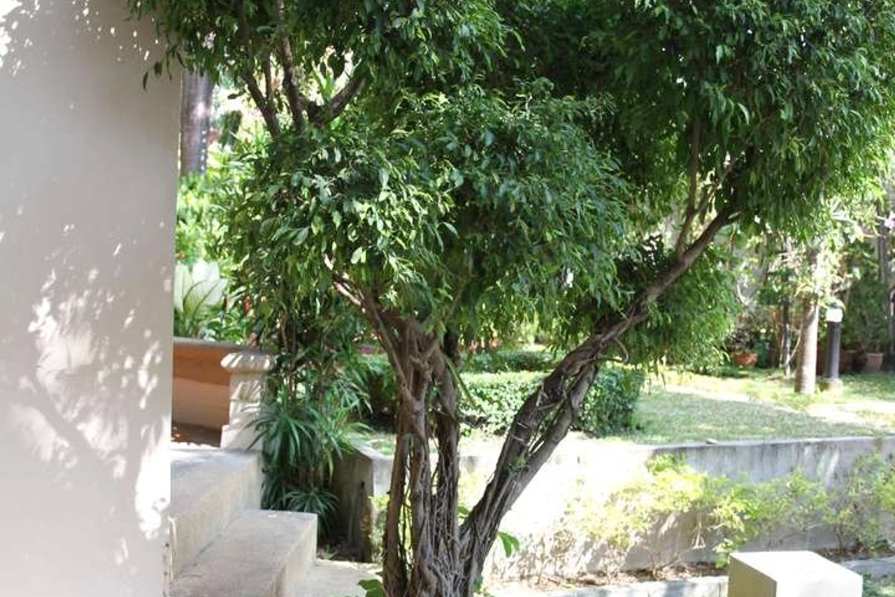 Тайланд 2011 г. Улица, люди, жизнь…