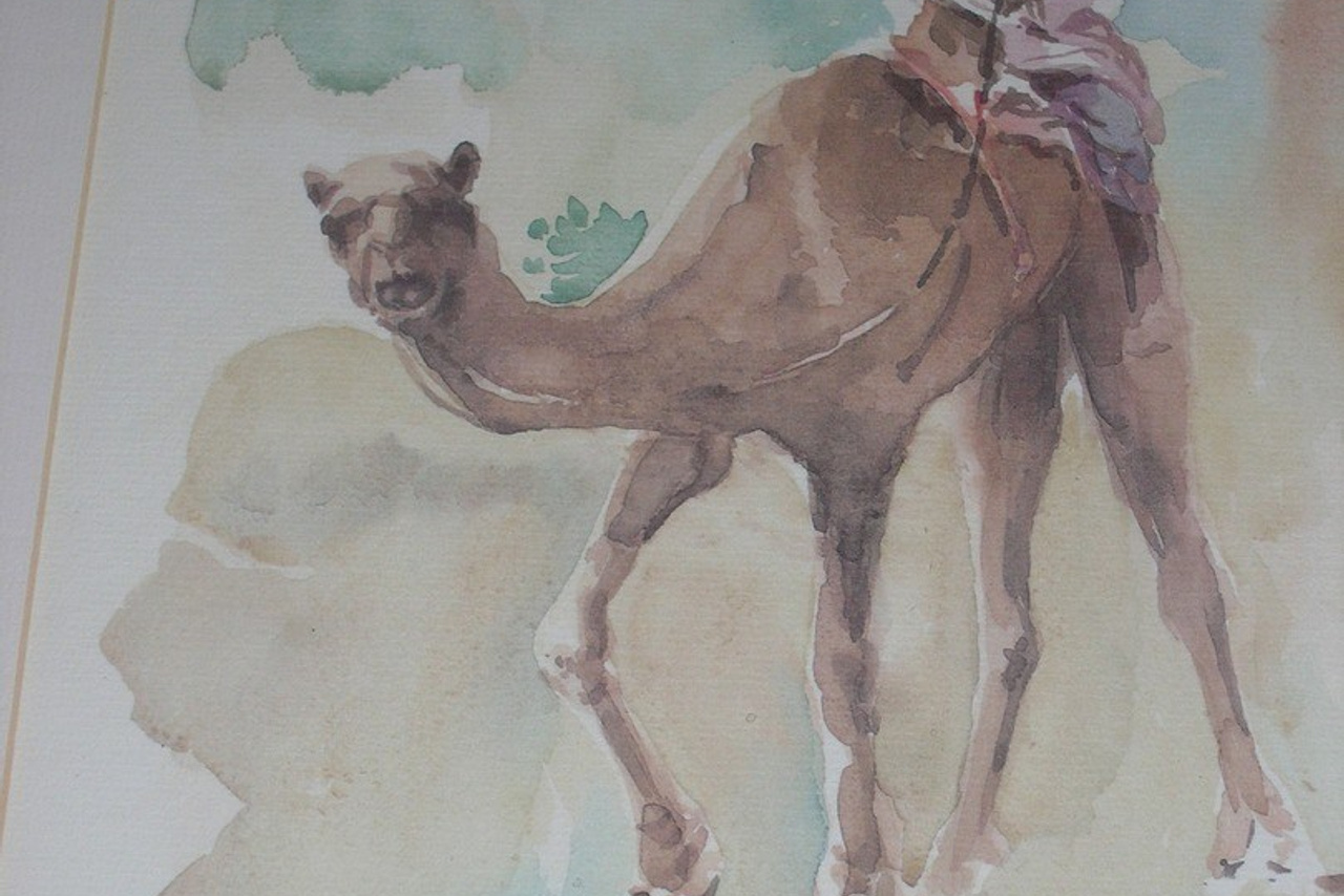 Фотоальбомы. Улица, люди, жизнь…