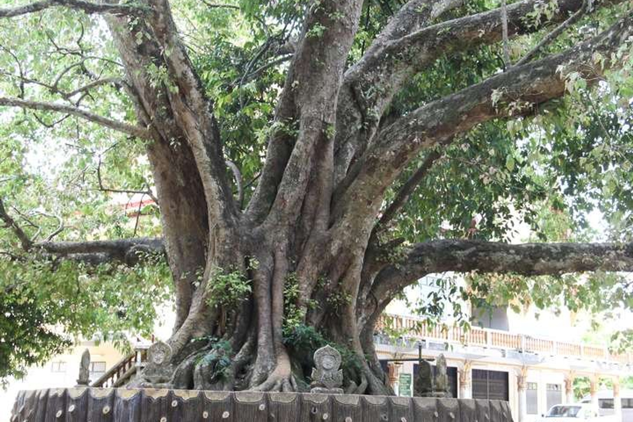 Тайланд 2011 г. Улица, люди, жизнь…