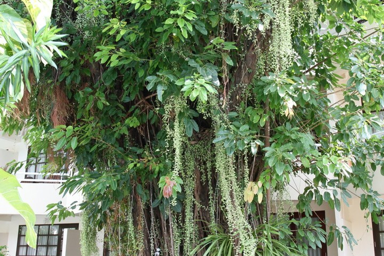 Тайланд 2011 г. Улица, люди, жизнь…