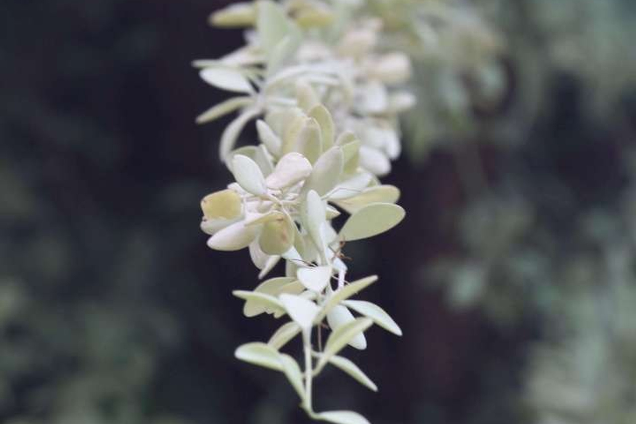 Тайланд 2011 г. Улица, люди, жизнь…