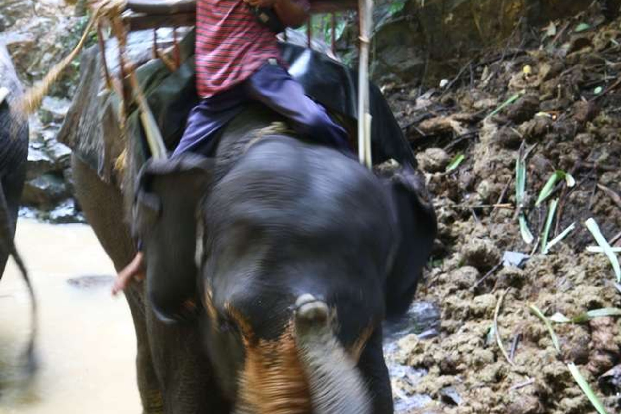 Тайланд 2011 г. Улица, люди, жизнь…