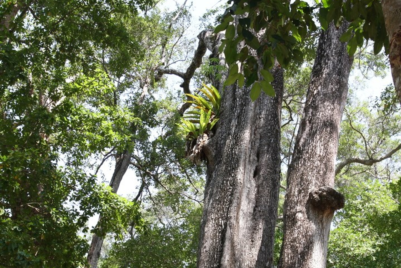 Тайланд 2011 г. Улица, люди, жизнь…
