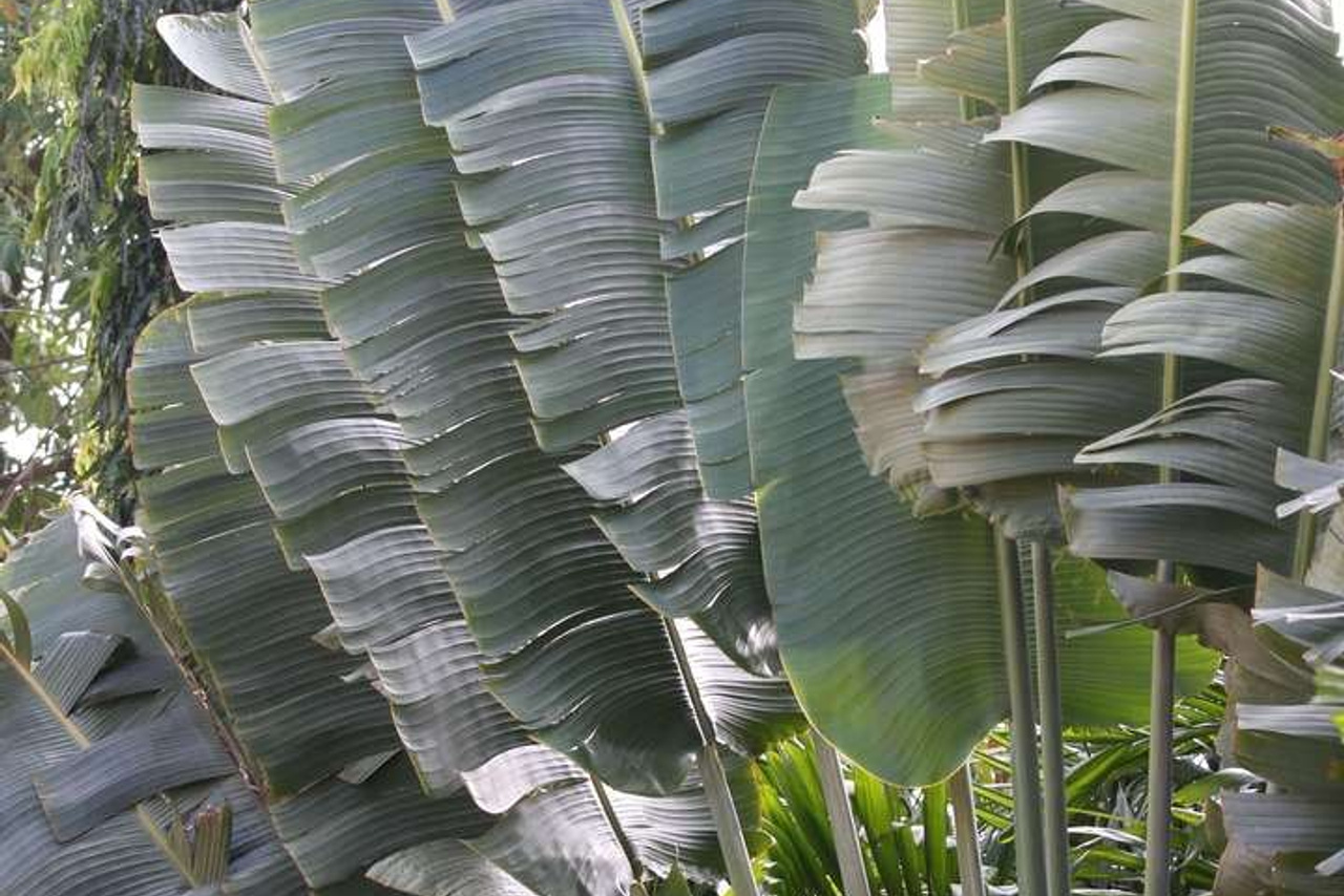 Тайланд 2011 г. Улица, люди, жизнь…