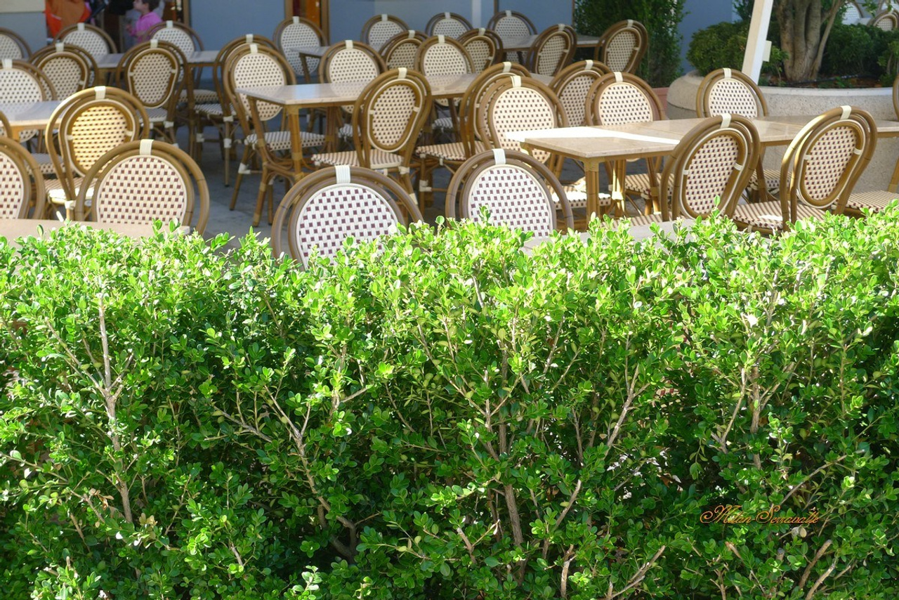 Италия. Милан 2012 г. Улица, люди, жизнь…