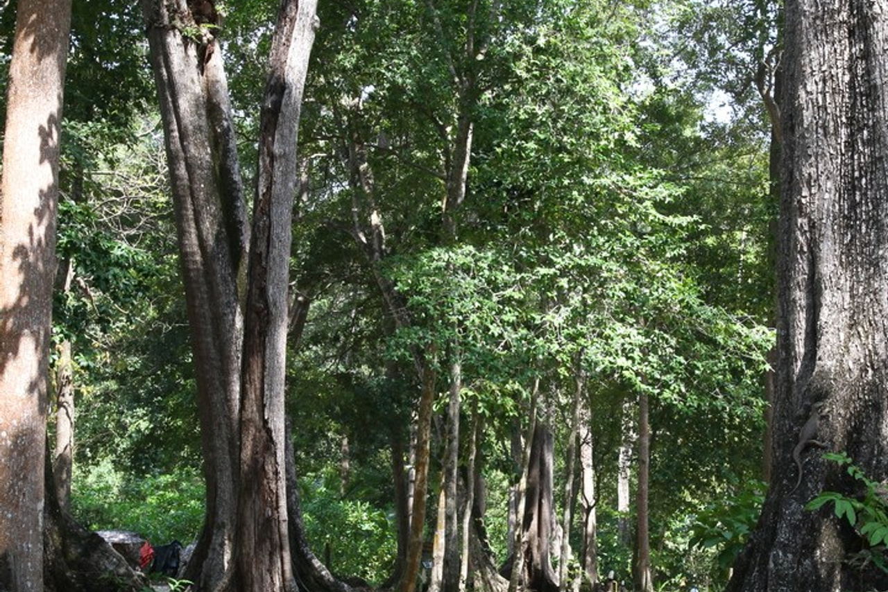 Тайланд 2011 г. Улица, люди, жизнь…