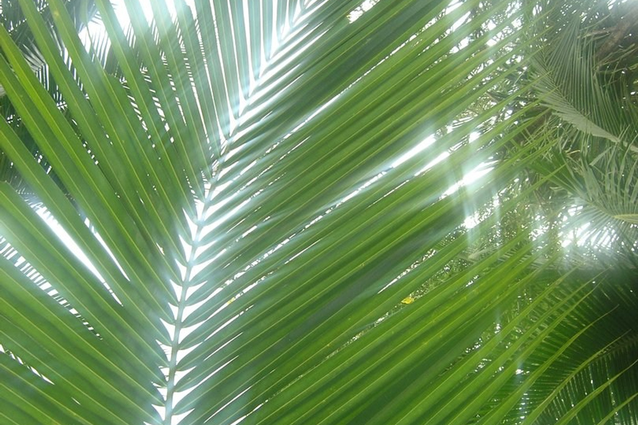 Тайланд 2011 г. Улица, люди, жизнь…