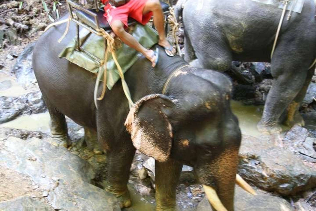 Тайланд 2011 г. Улица, люди, жизнь…