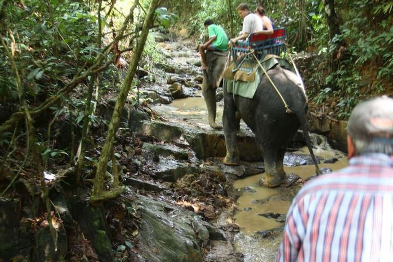 Тайланд 2011 г. Улица, люди, жизнь…