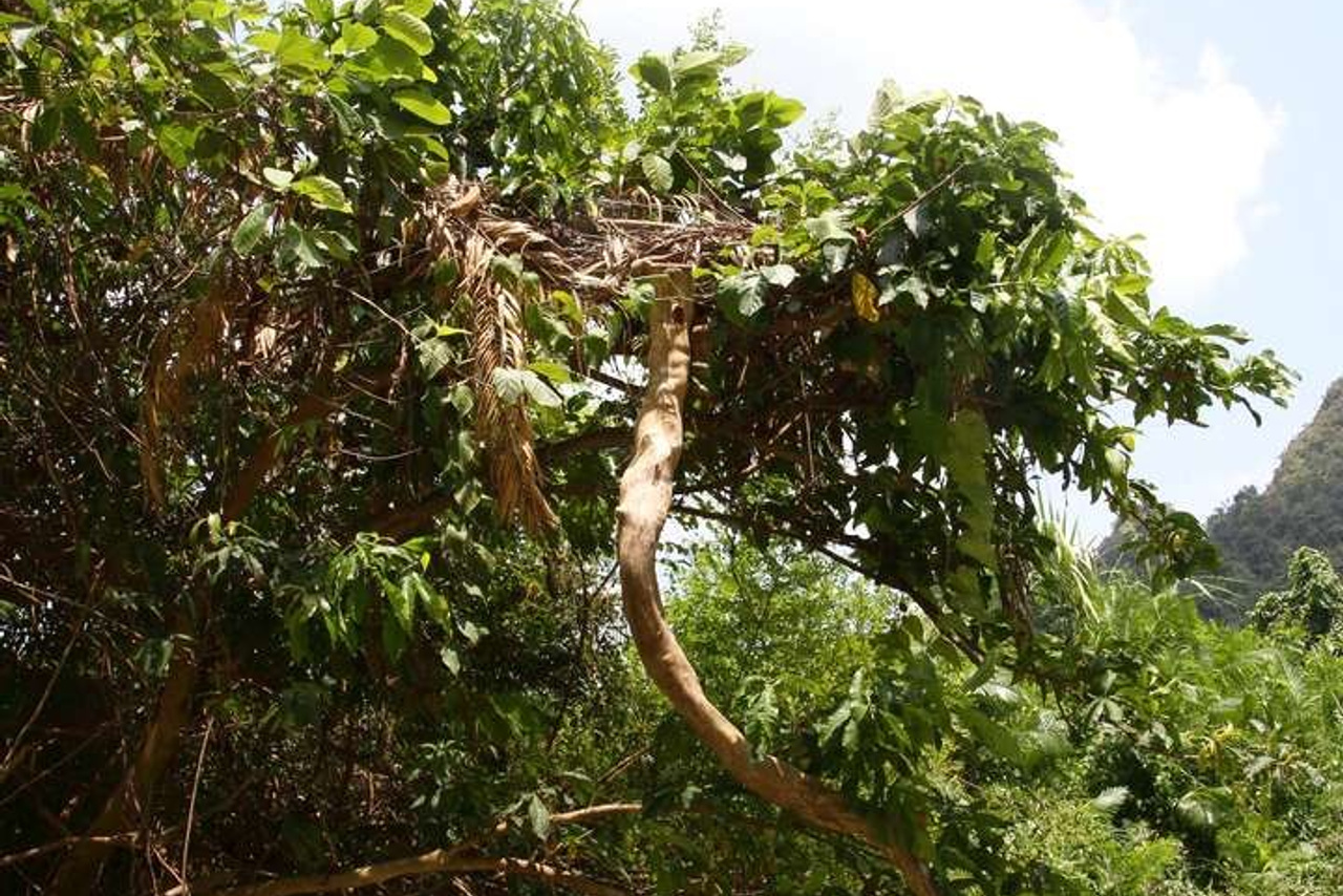 Тайланд 2011 г. Улица, люди, жизнь…