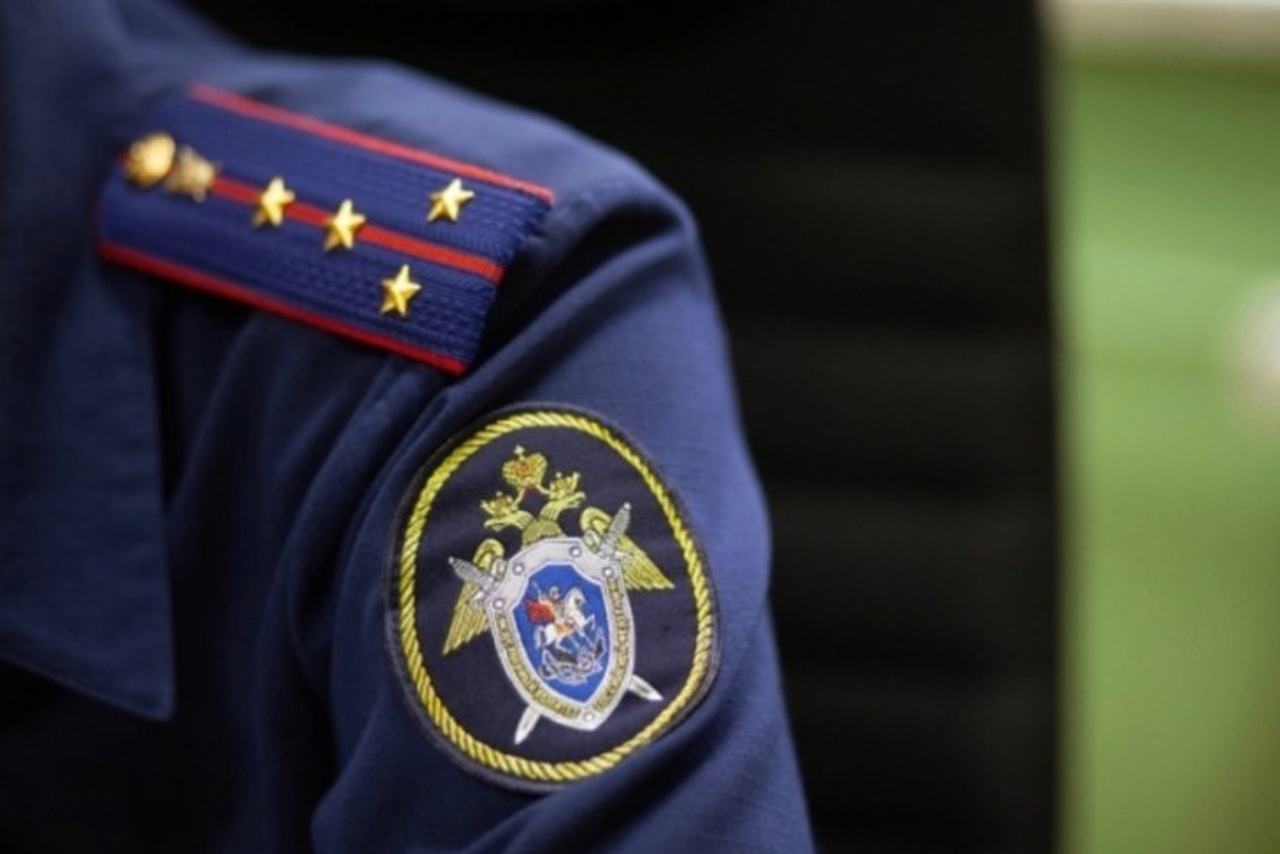 Во Владимирской области усиливают меры профилактики лесных пожаров. Новости Мурома. Муром-Инфо