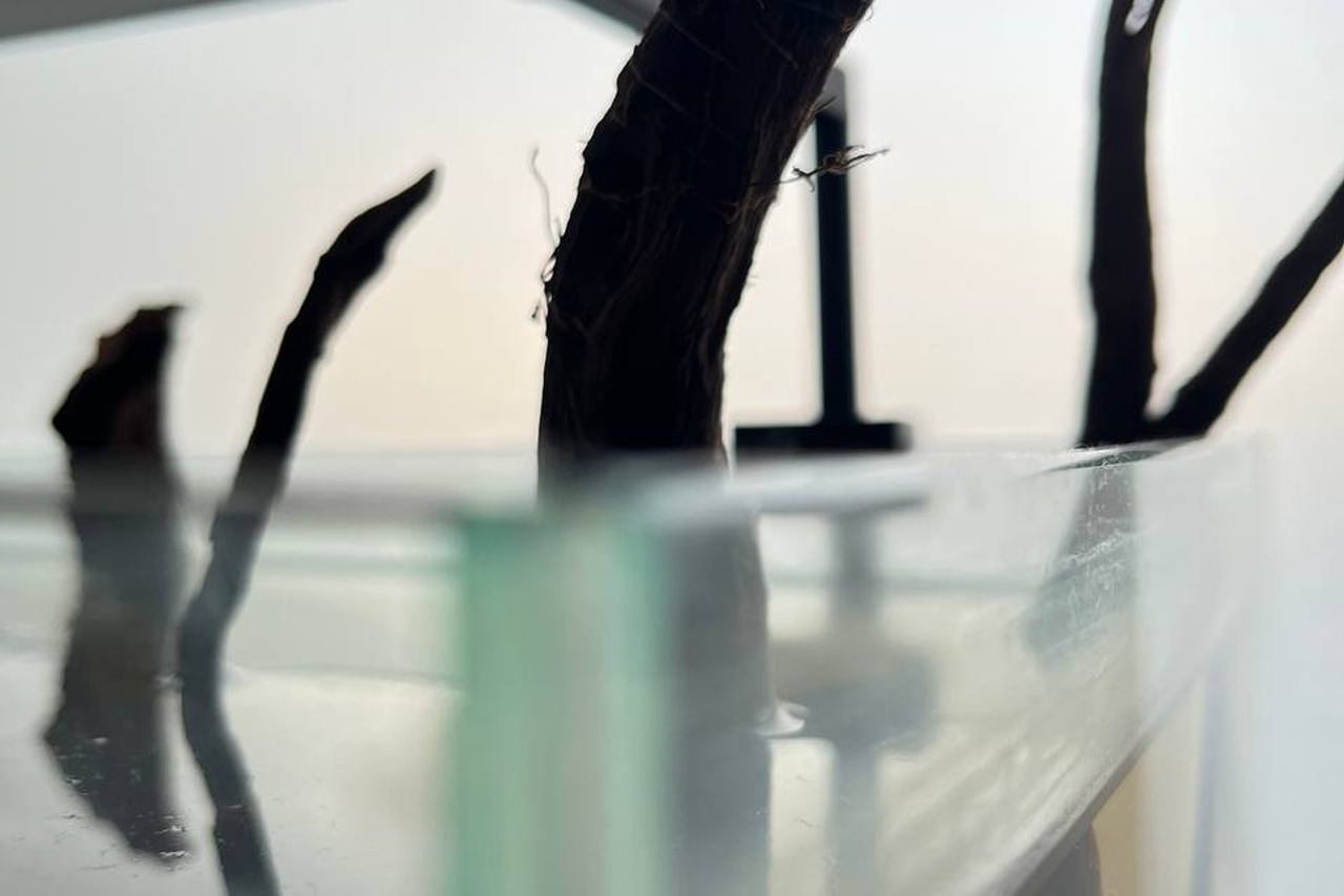 Интервью с Артёмом Ращенко (Water Sci). Home