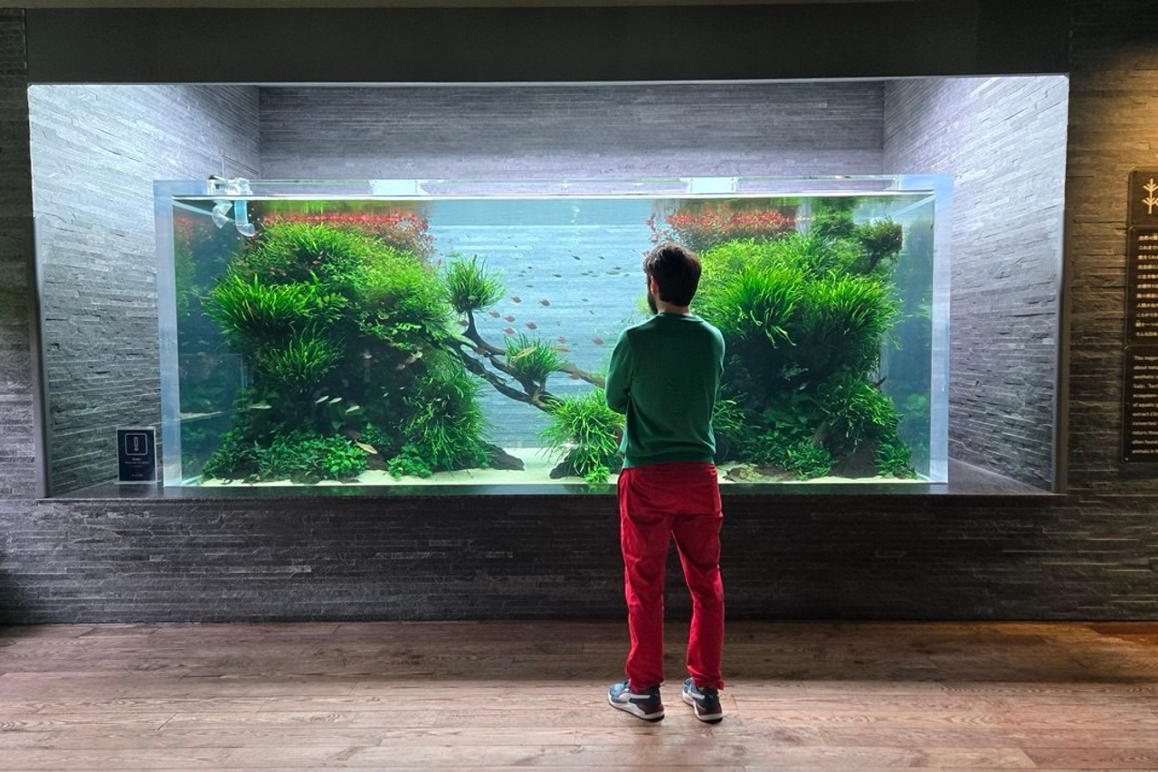 Выступление на фестивале Атмосфера в Екатеринбурге. Home