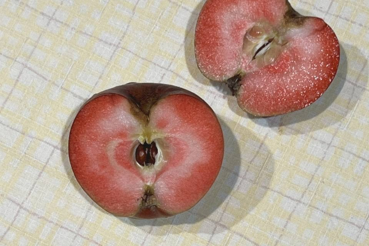 Альбом от 30.11.25 в рамках фотоконкурса ФЭТ: Фотография Эстетика Творчество