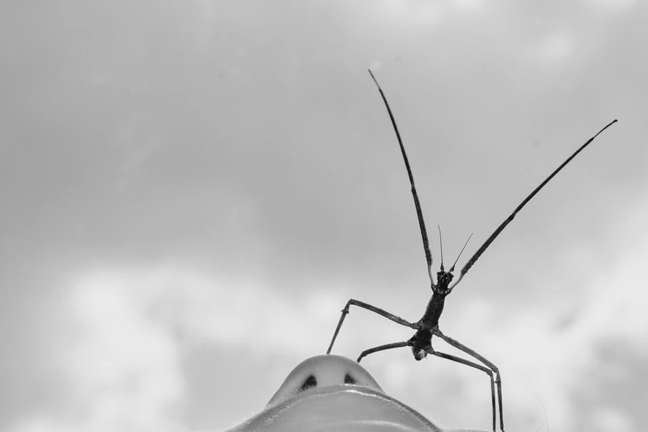 Архивы ФЭТ. Фотошкола Натальи Жуковой
