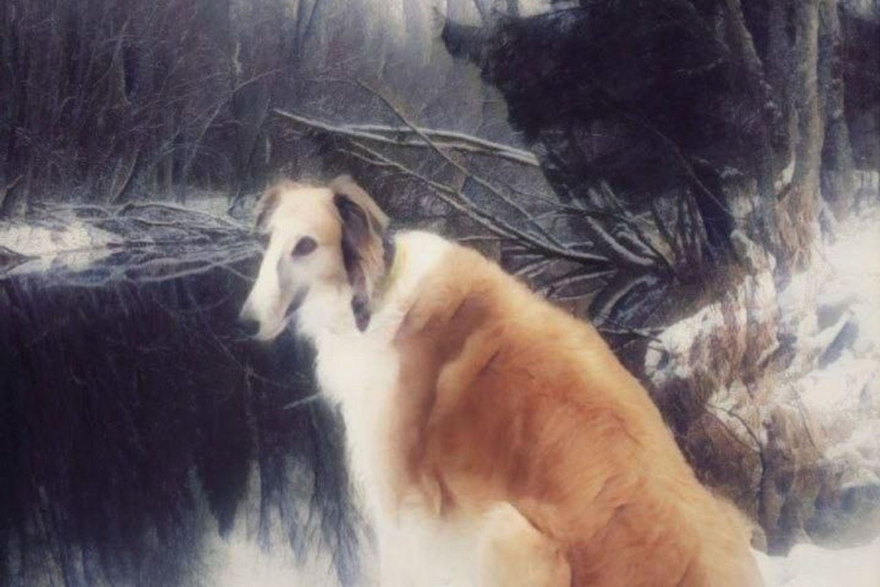 Альбом от 30.11.25 в рамках фотоконкурса ФЭТ: Фотография Эстетика Творчество