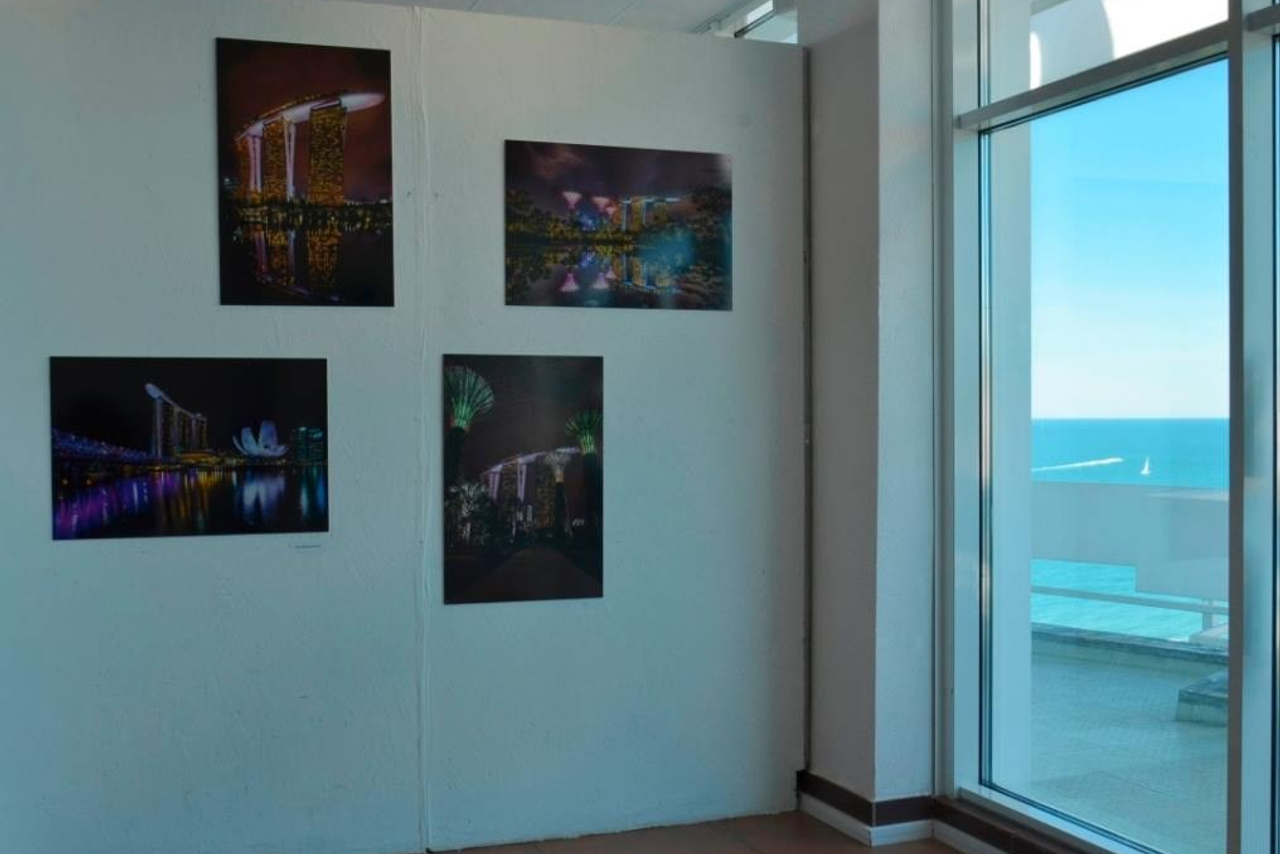 Proyectos. Arte de Shanti Alex