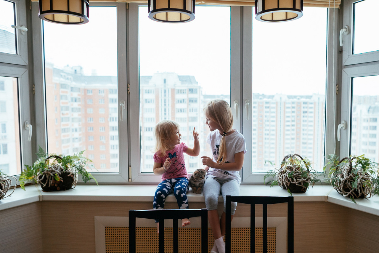 Сеситрички-лисички