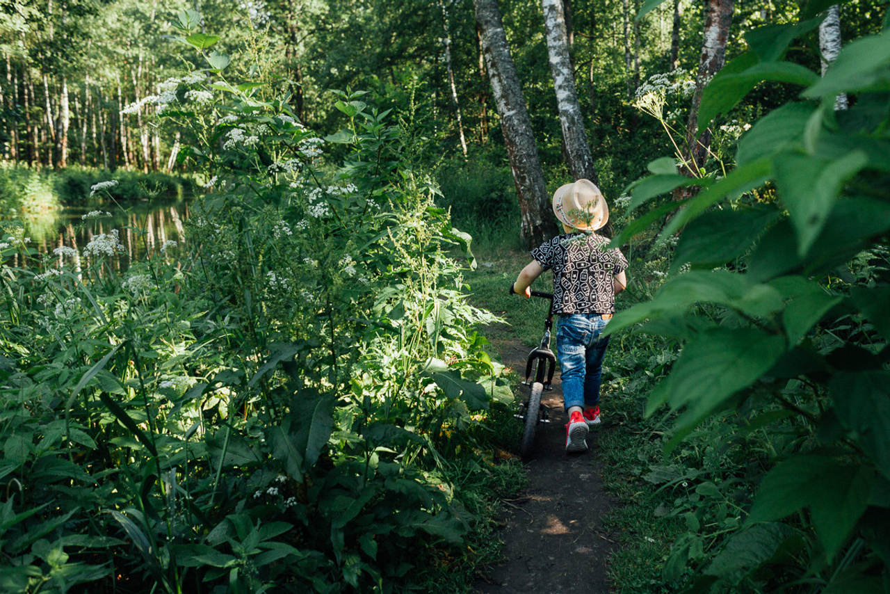 Прогулка по Лосиному острову
