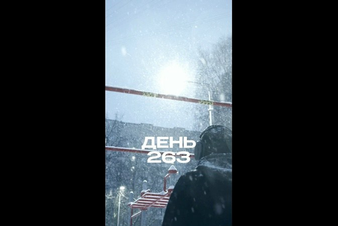 Reels, Shorts. Видеограф в Санкт-Петербурге Белеутов Алексей