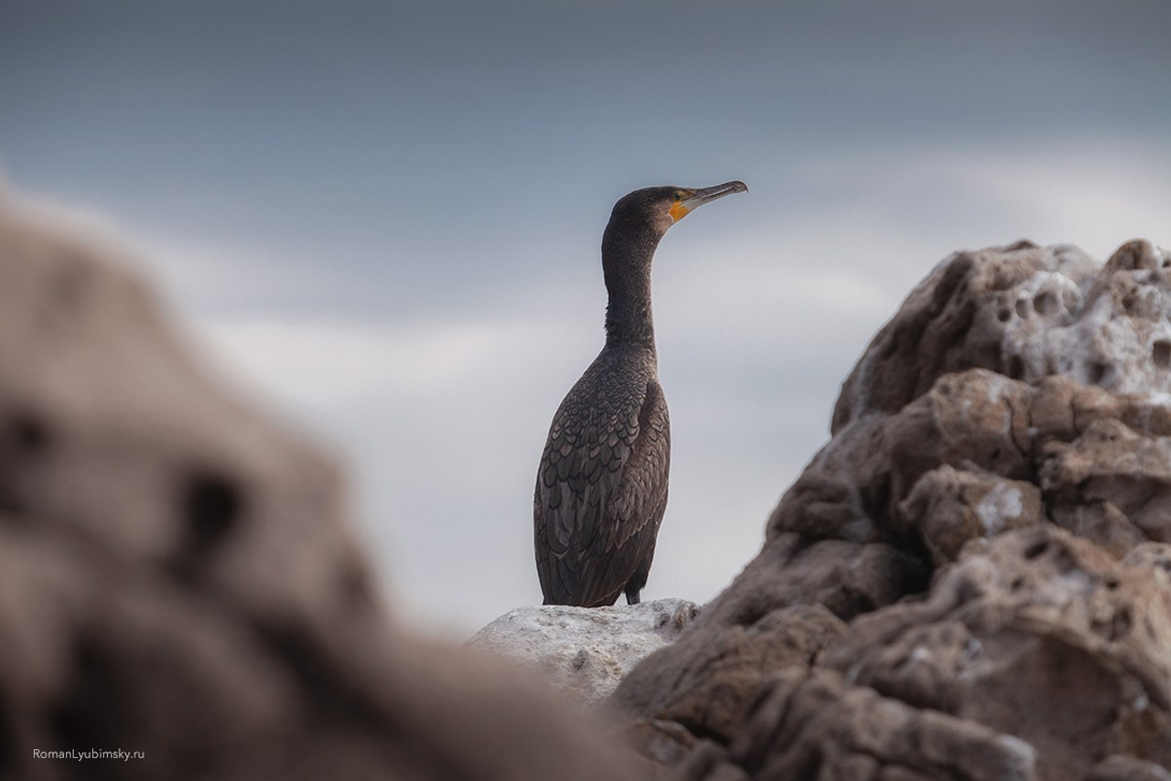 Портфолио. Пейзажный & Timelapse фотограф Роман Любимский