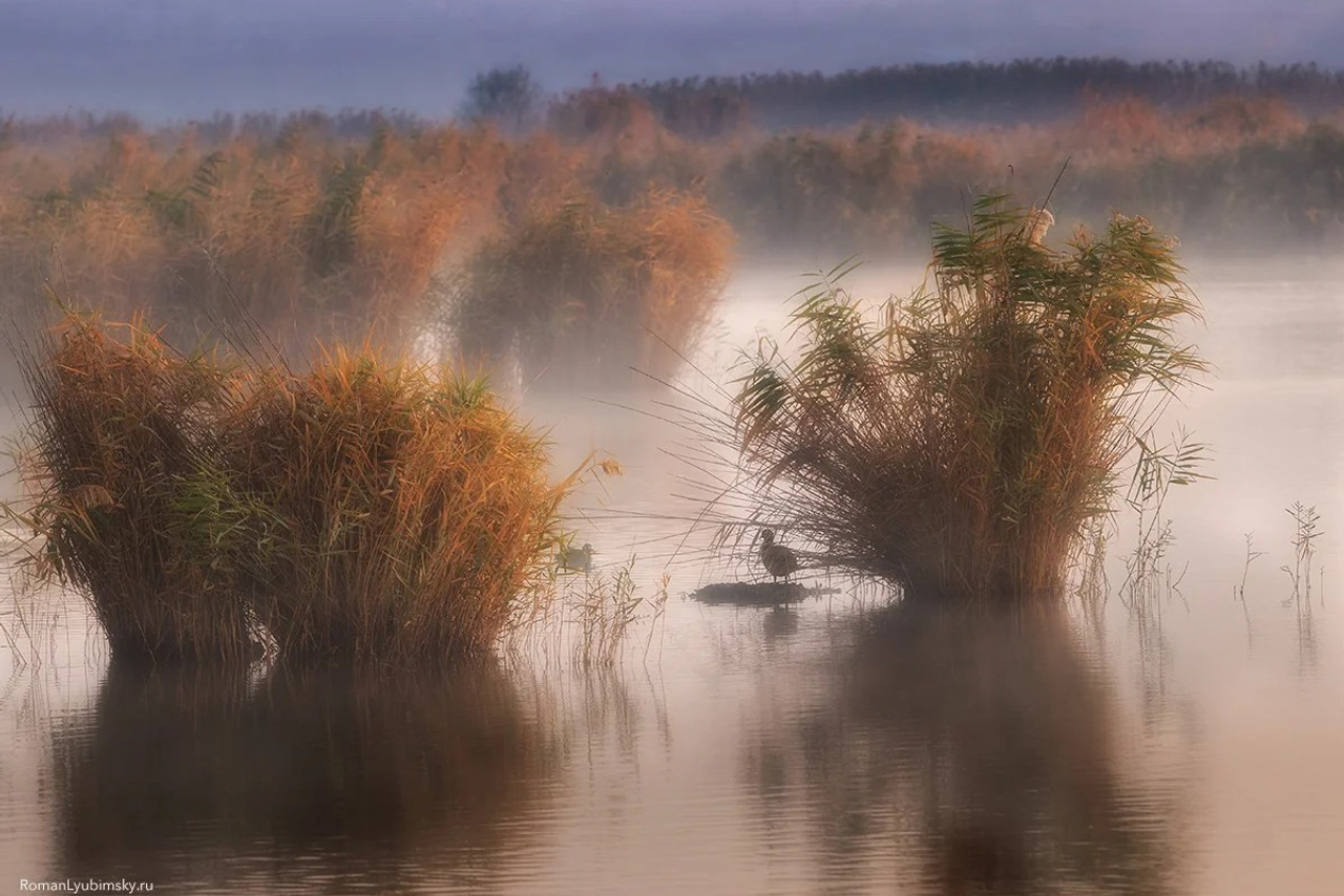 Портфолио. Пейзажный & Timelapse фотограф Роман Любимский